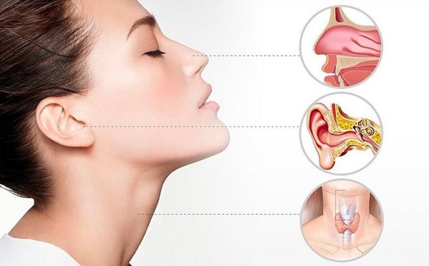Common Ear, Nose, and Throat Disorders in Singapore